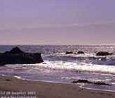 Beach near Cambria